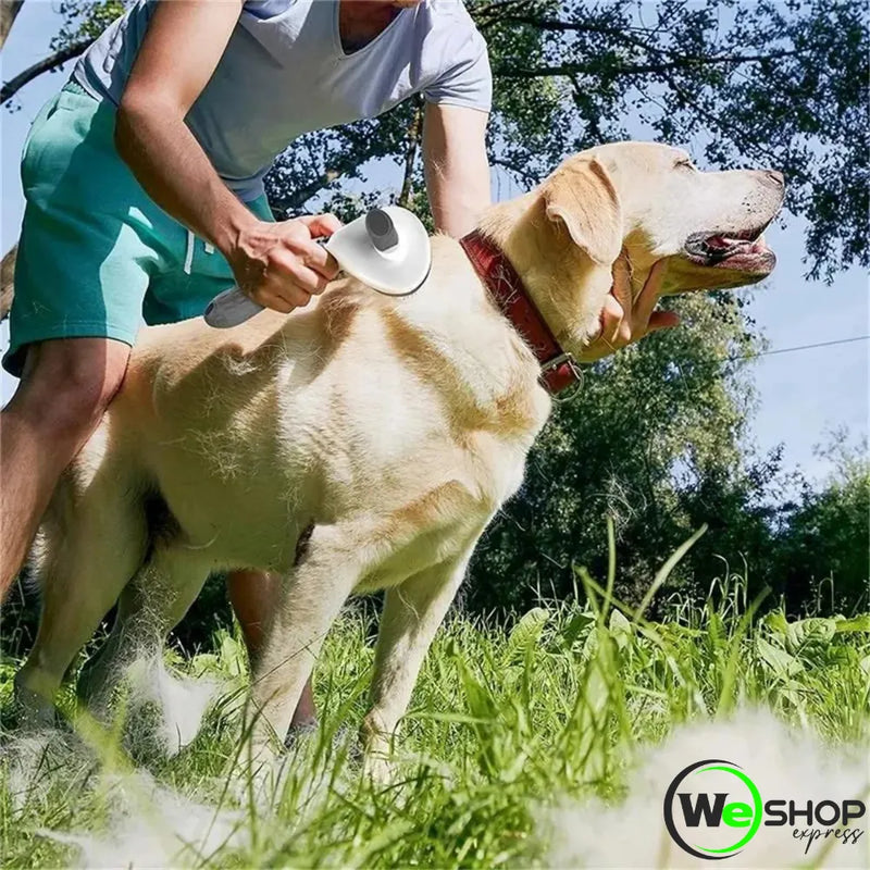 Escova Removedora de Pelos pra Cães e Gatos Weshop