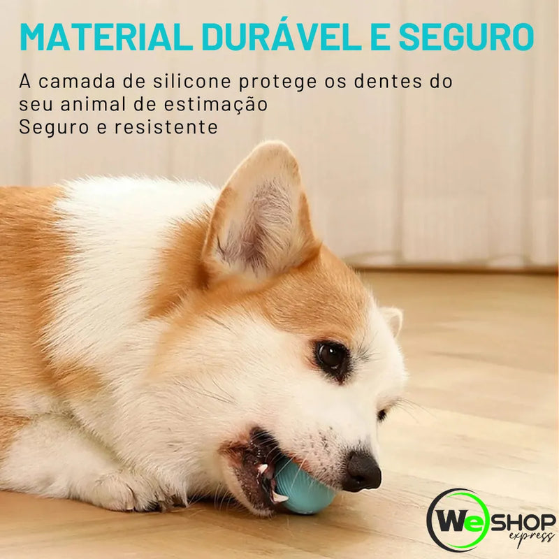 Bola Inteligente para Gatos Smart Roll Weshop